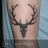 tattoo image by ant ross